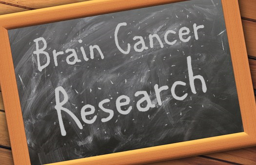 Brain Cancer Research-2011 Jan